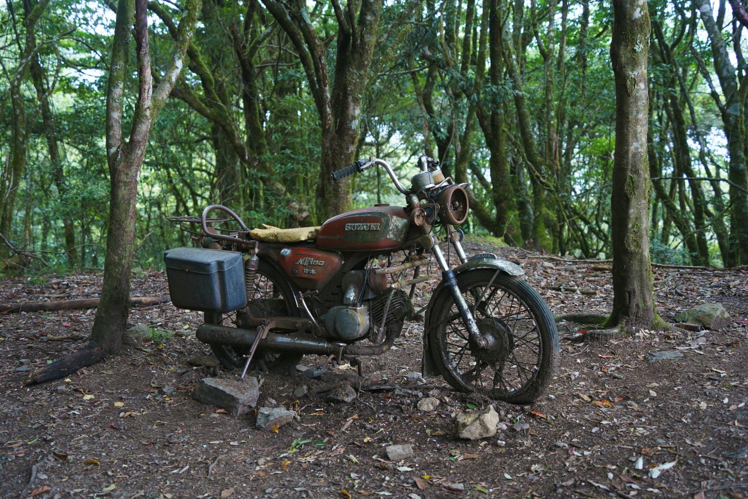 20250219-bn1ej