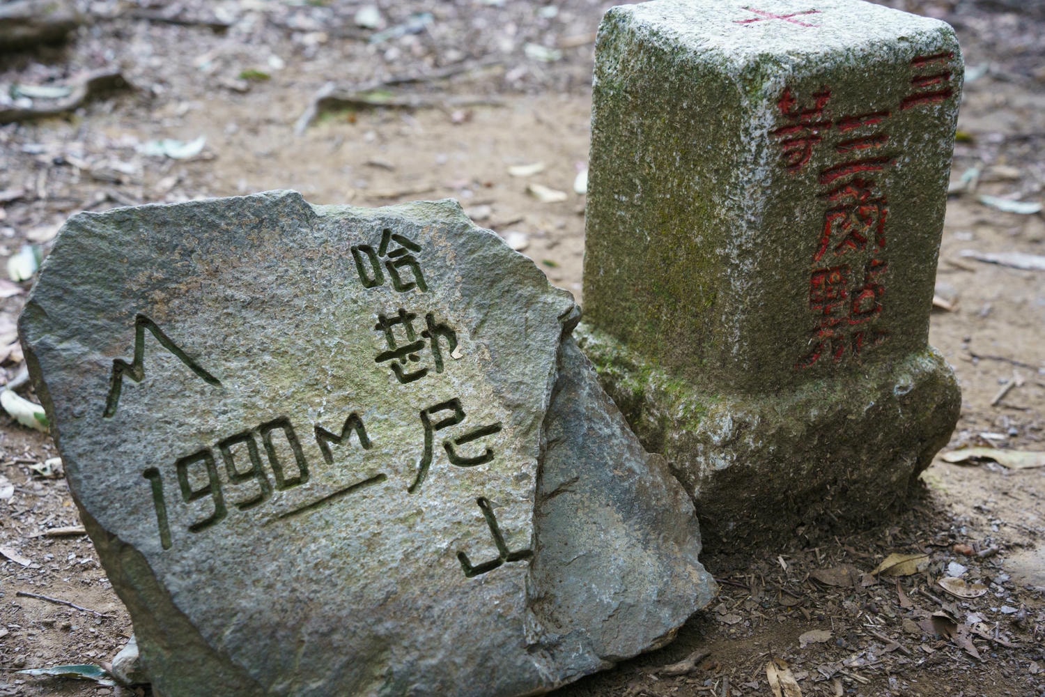 20250219-s8sj6 20250219-s8sj6