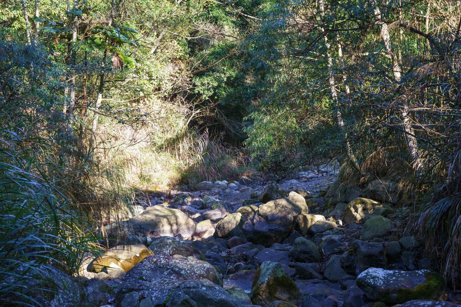 20250219-z7r9j 20250219-z7r9j