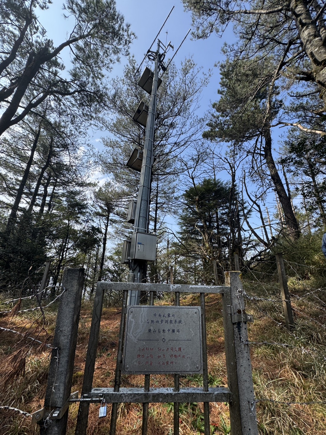 加里山東稜,樂山(鹿場大山)往加里山| - 第8張圖 20250329 s 50831390 0