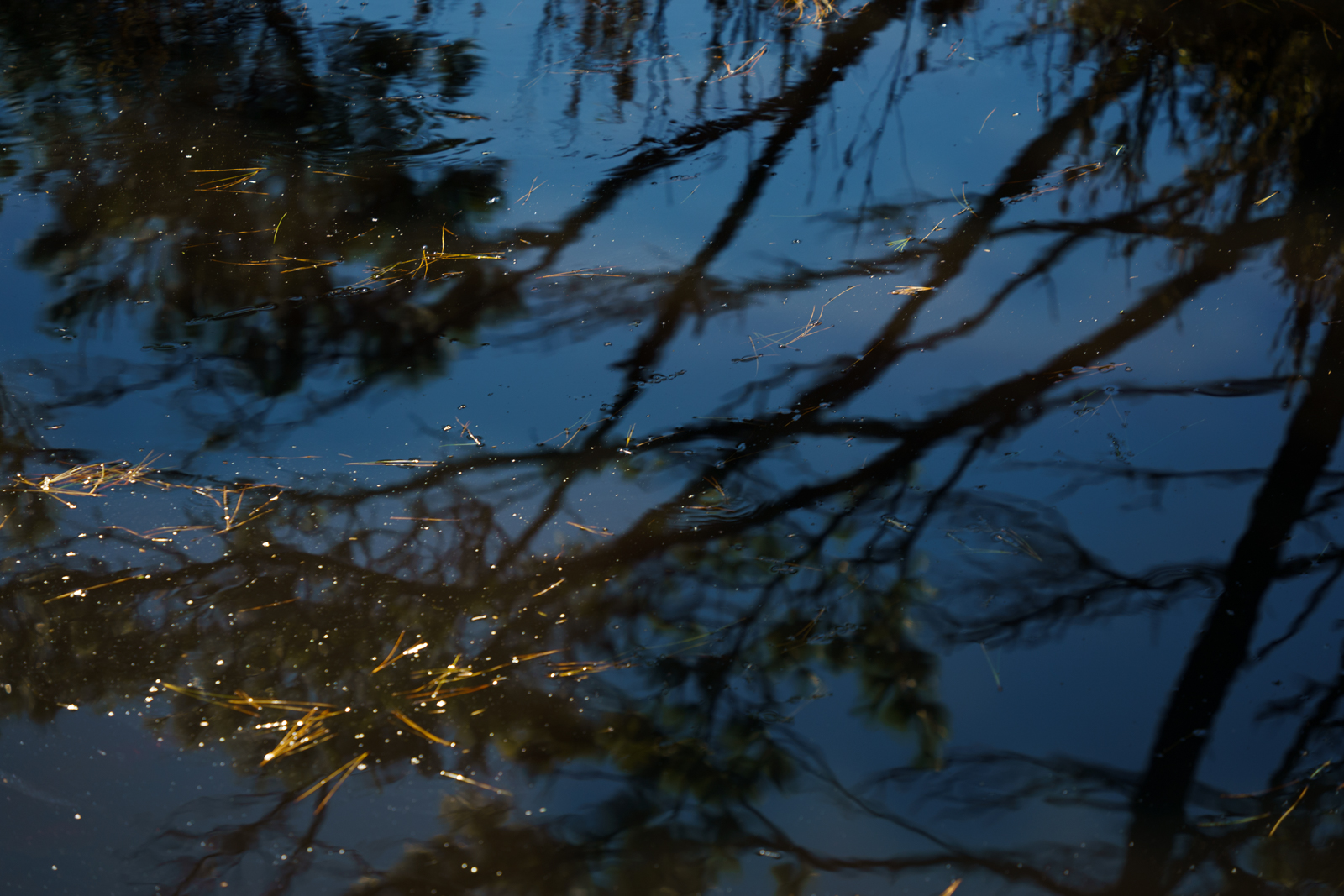 20211106 dsc2382