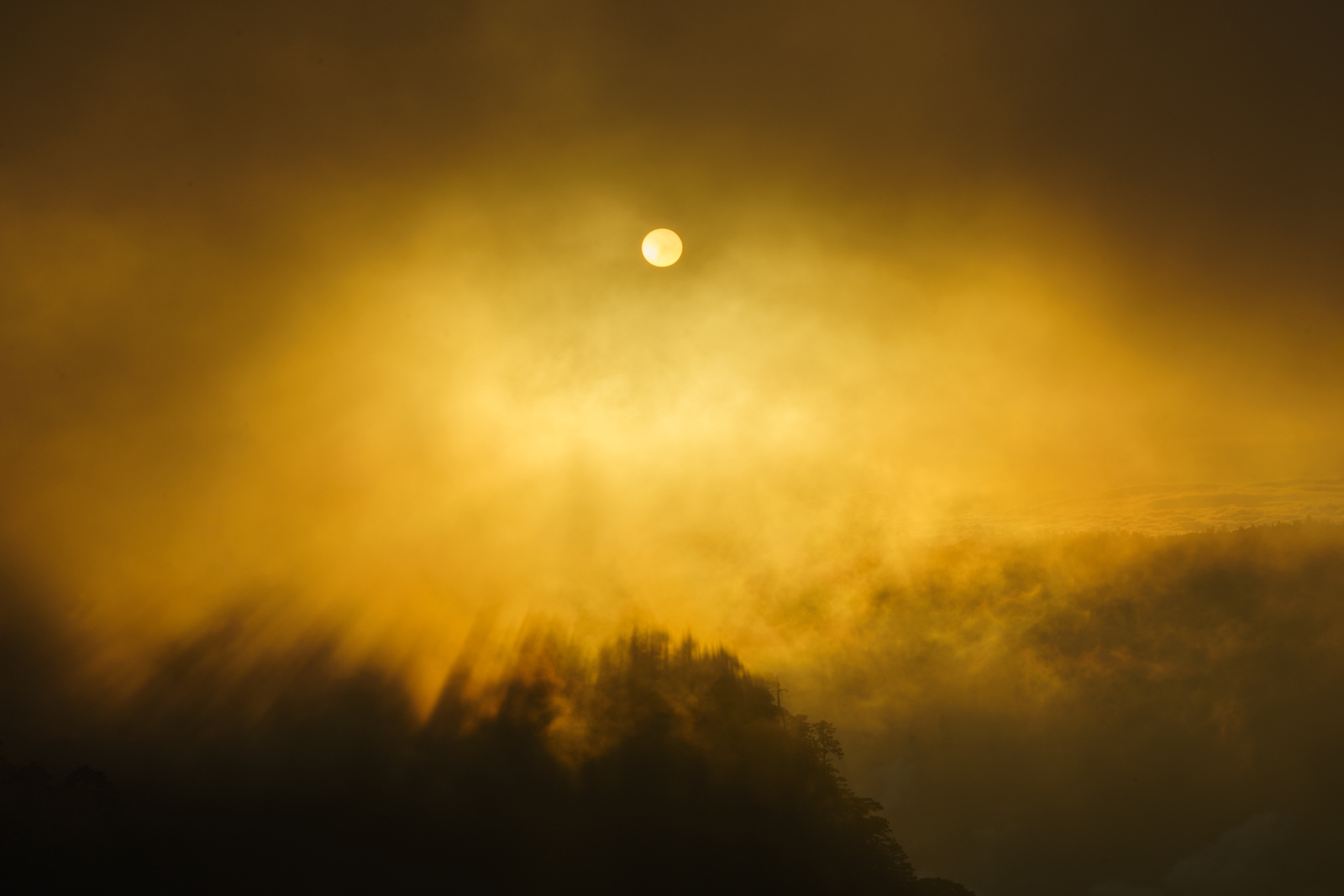 20211114 dsc2901