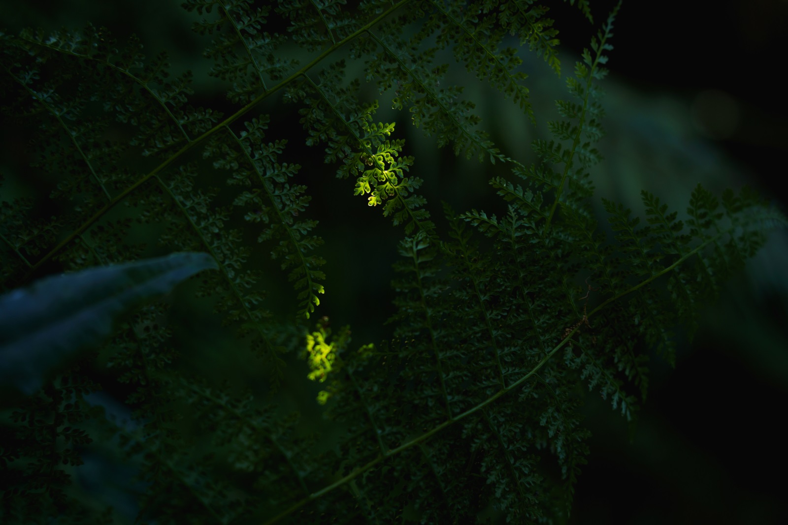 20221226 dsc7533
