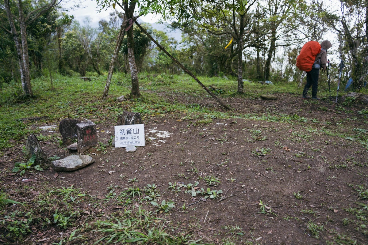 嵐山工作站|搭上迷霧中的時光列車(附Gpx) - 第4張圖 2025 dsc3544嵐山工作站