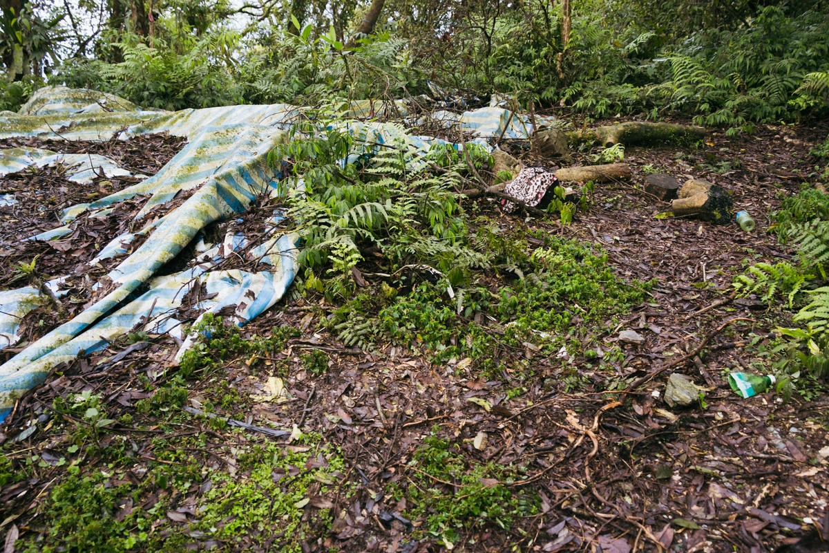 嵐山工作站|搭上迷霧中的時光列車(附Gpx) - 第7張圖 2025 dsc3554嵐山工作站