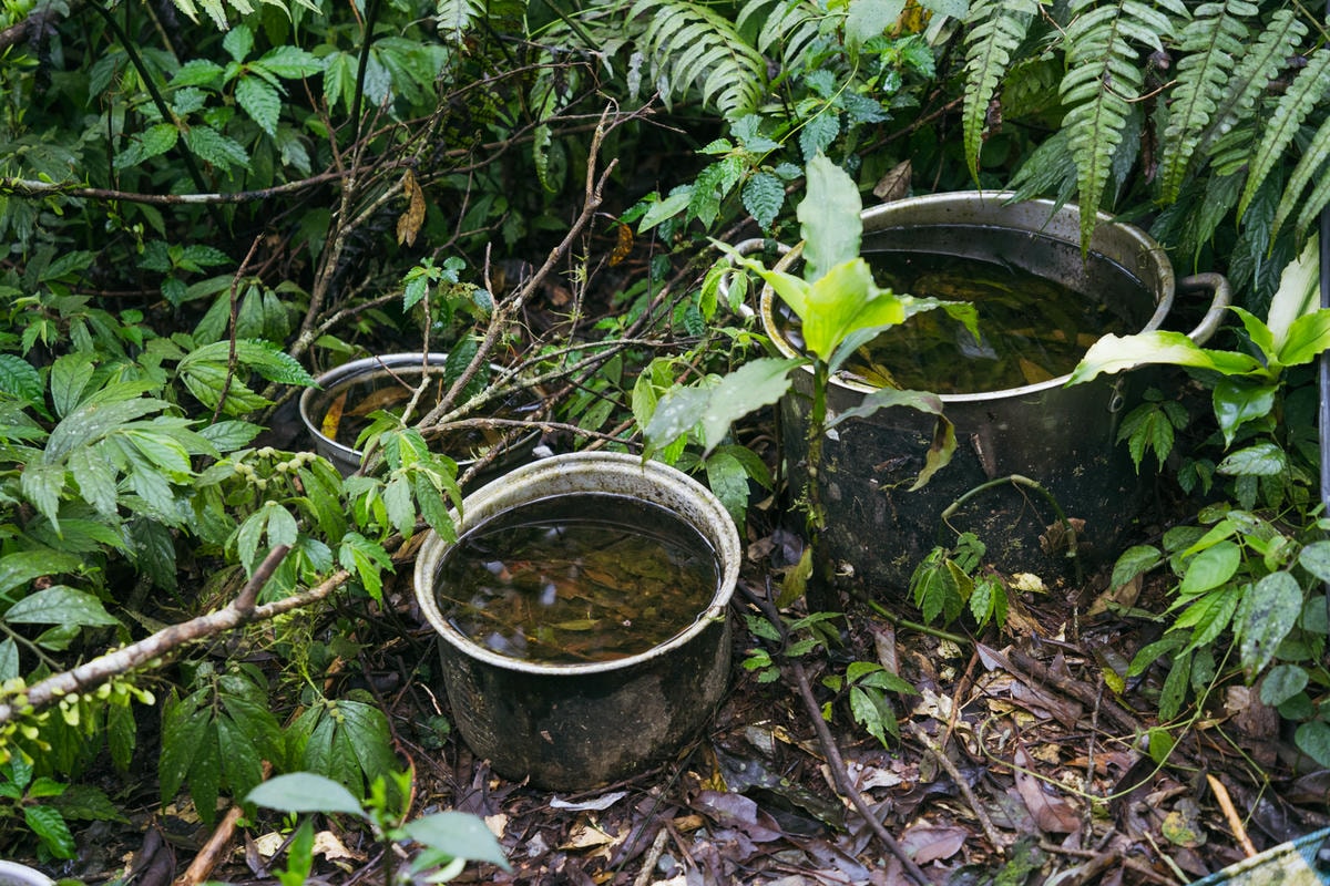 嵐山工作站|搭上迷霧中的時光列車(附Gpx) - 第8張圖 2025 dsc3555嵐山工作站