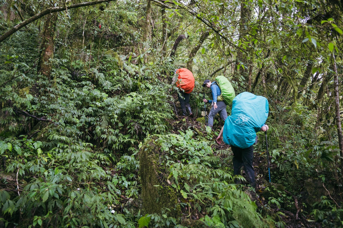 嵐山工作站|搭上迷霧中的時光列車(附Gpx) - 第9張圖 2025 dsc3569嵐山工作站