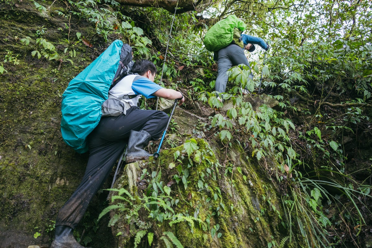 嵐山工作站|搭上迷霧中的時光列車(附Gpx) - 第10張圖 2025 dsc3572嵐山工作站