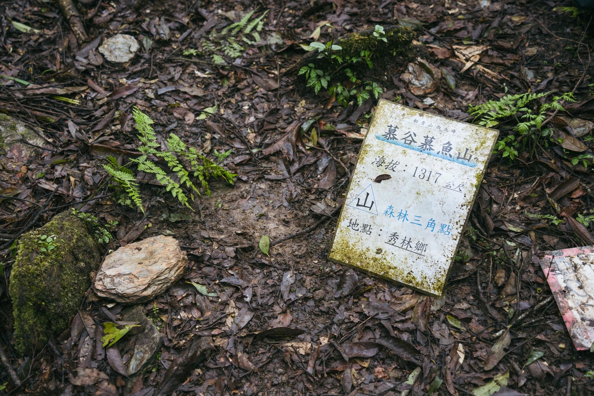 嵐山工作站|搭上迷霧中的時光列車(附Gpx) - 第11張圖 2025 dsc3574嵐山工作站