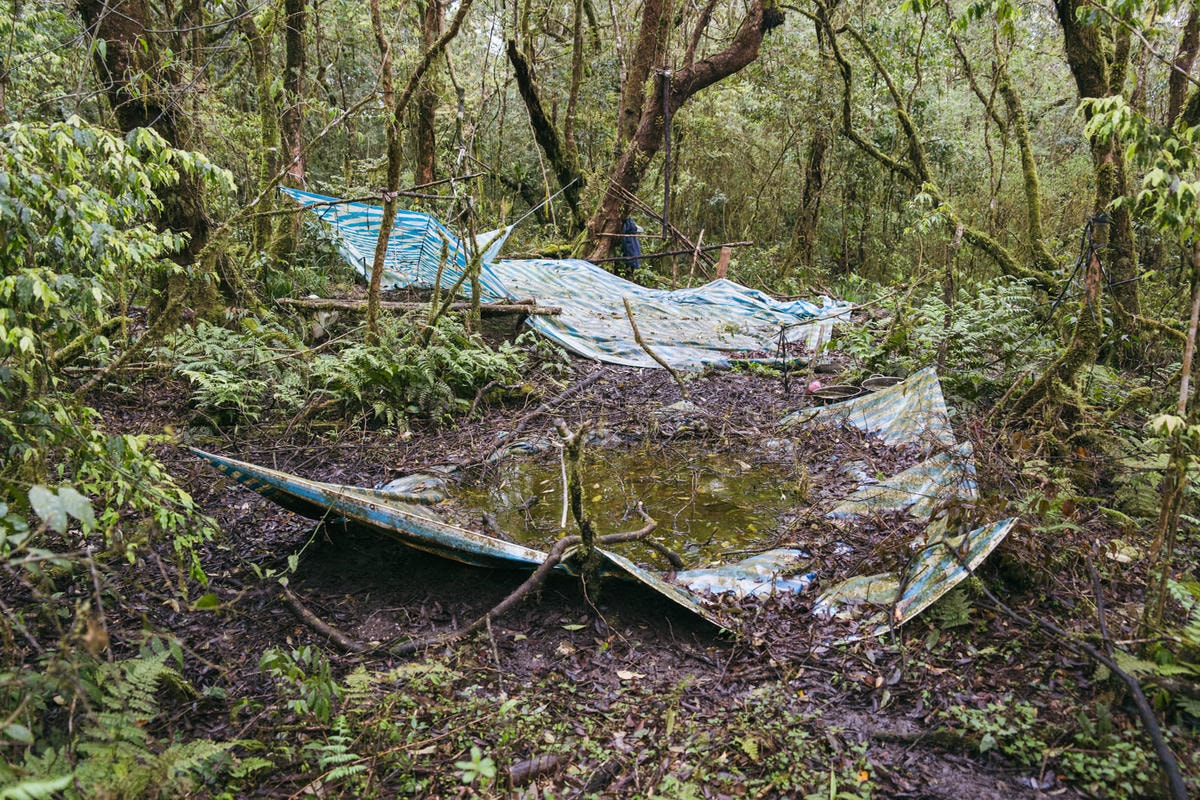 嵐山工作站|搭上迷霧中的時光列車(附Gpx) - 第12張圖 2025 dsc3575嵐山工作站