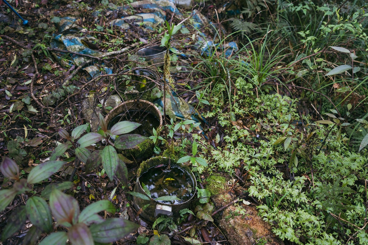 嵐山工作站|搭上迷霧中的時光列車(附Gpx) - 第13張圖 2025 dsc3578嵐山工作站