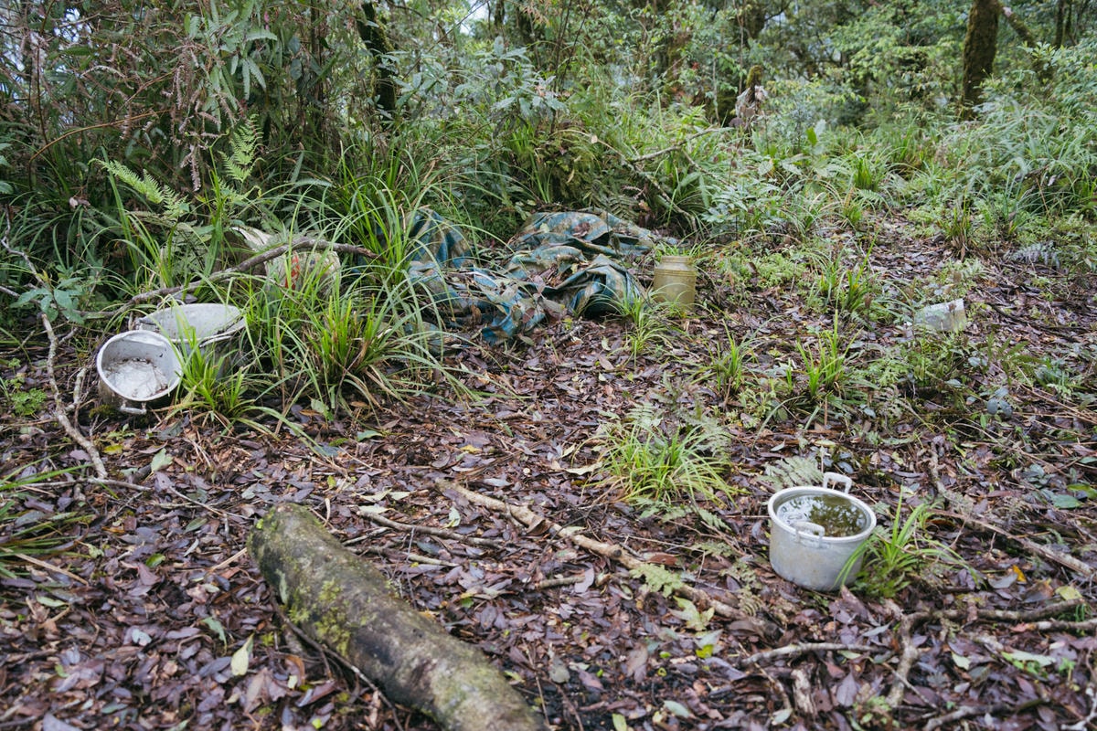 嵐山工作站|搭上迷霧中的時光列車(附Gpx) - 第15張圖 2025 dsc3586嵐山工作站