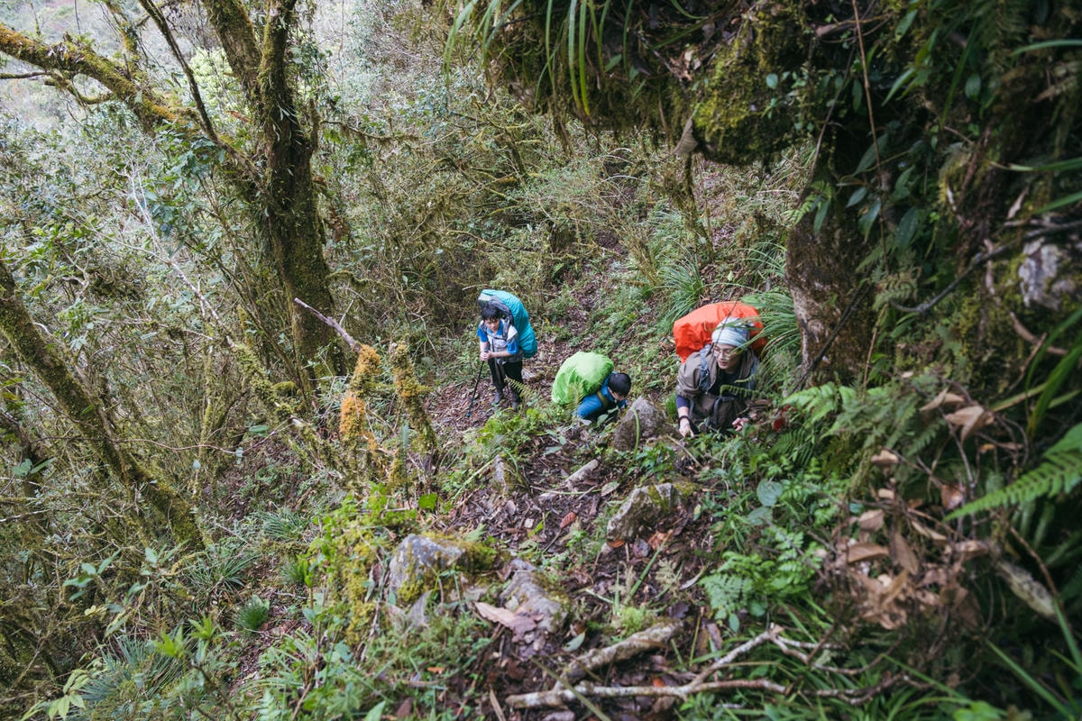 嵐山工作站|搭上迷霧中的時光列車(附Gpx) - 第16張圖 2025 dsc3594嵐山工作站