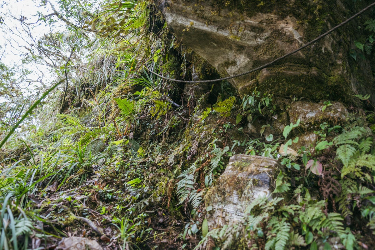 嵐山工作站|搭上迷霧中的時光列車(附Gpx) - 第17張圖 2025 dsc3595嵐山工作站