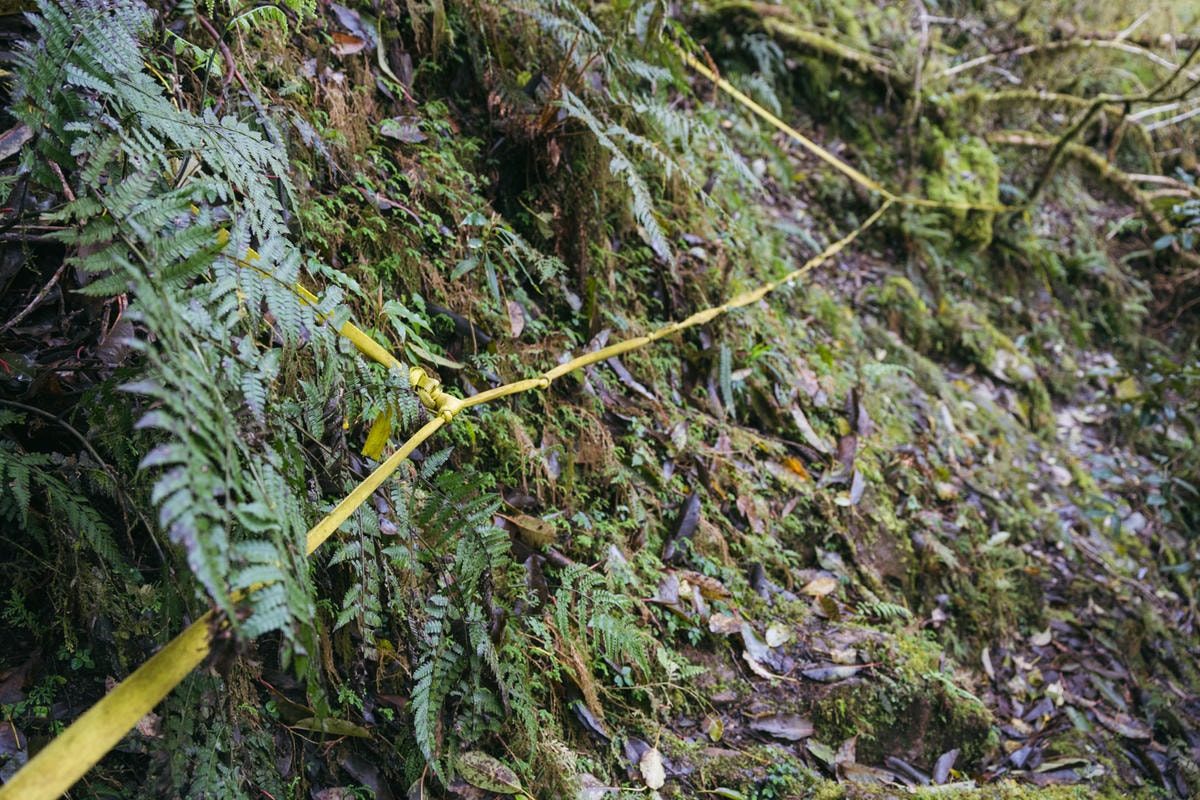 嵐山工作站|搭上迷霧中的時光列車(附Gpx) - 第22張圖 2025 dsc3619嵐山工作站