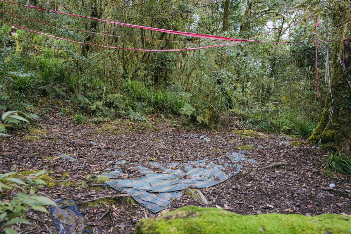 嵐山工作站|搭上迷霧中的時光列車(附Gpx) - 第24張圖 2025 dsc3622嵐山工作站