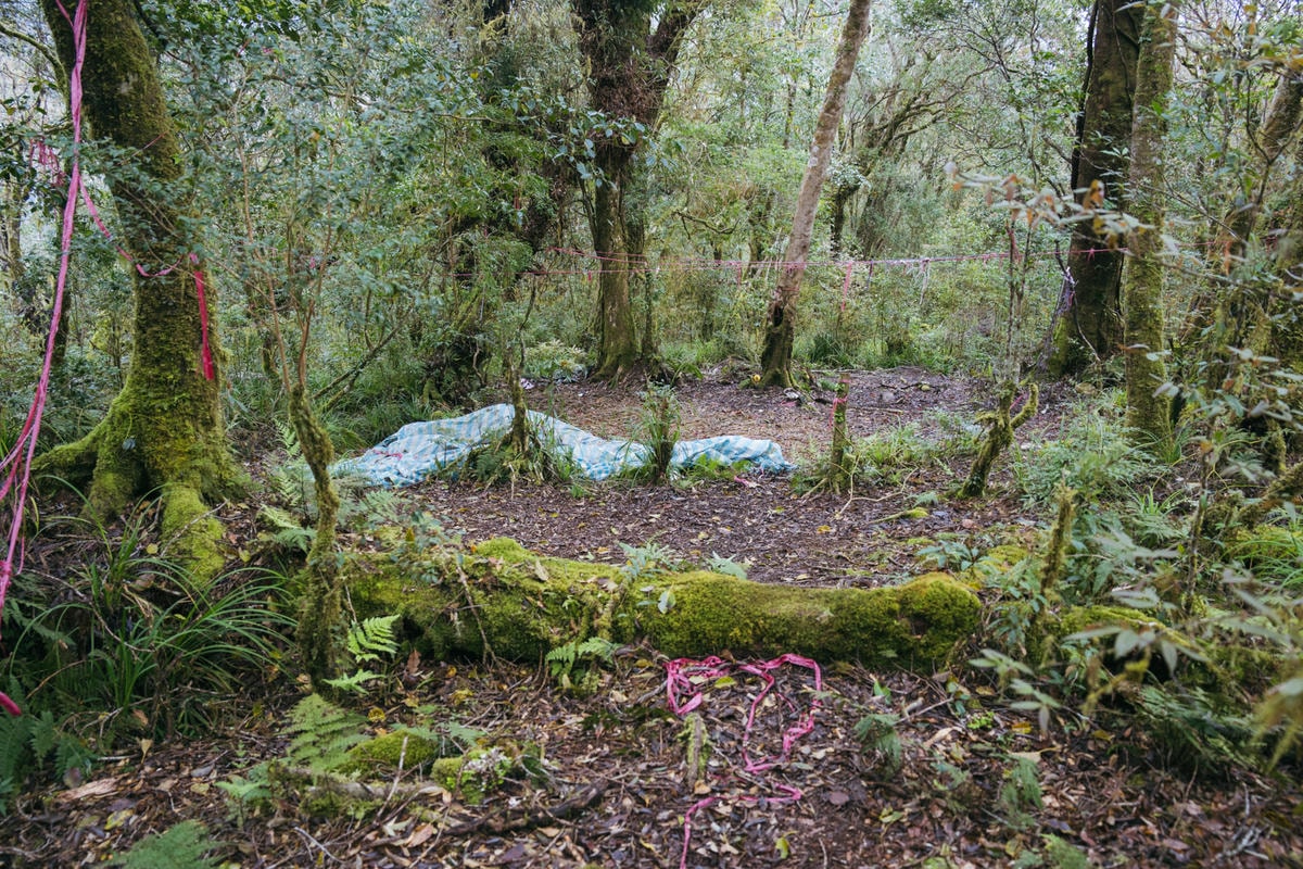 嵐山工作站|搭上迷霧中的時光列車(附Gpx) - 第23張圖 2025 dsc3623嵐山工作站