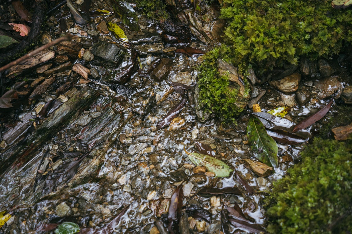 嵐山工作站|搭上迷霧中的時光列車(附Gpx) - 第26張圖 2025 dsc3629嵐山工作站