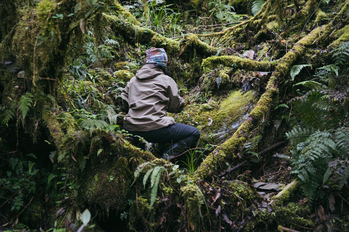 嵐山工作站|搭上迷霧中的時光列車(附Gpx) - 第28張圖 2025 dsc3632嵐山工作站