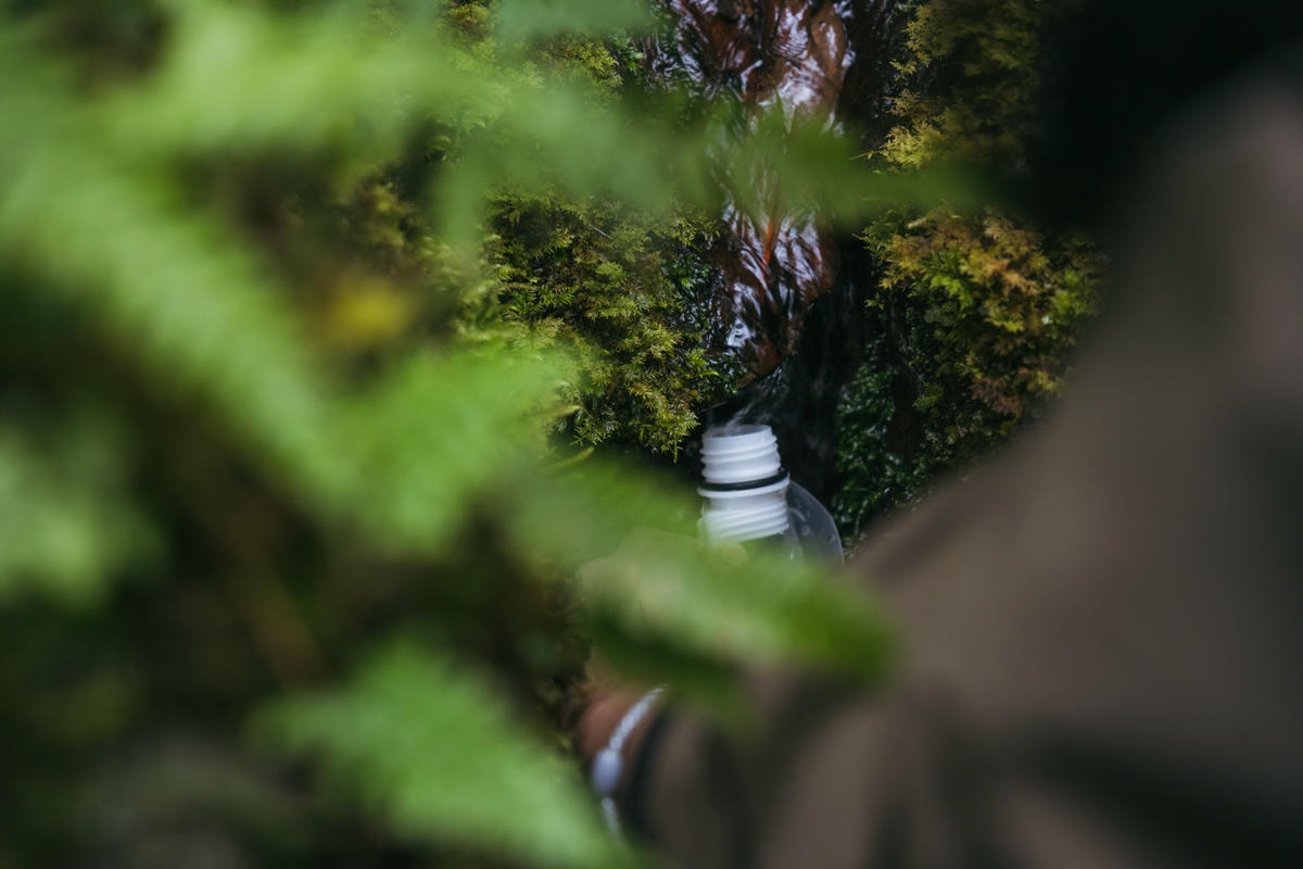 嵐山工作站|搭上迷霧中的時光列車(附Gpx) - 第29張圖 2025 dsc3633嵐山工作站