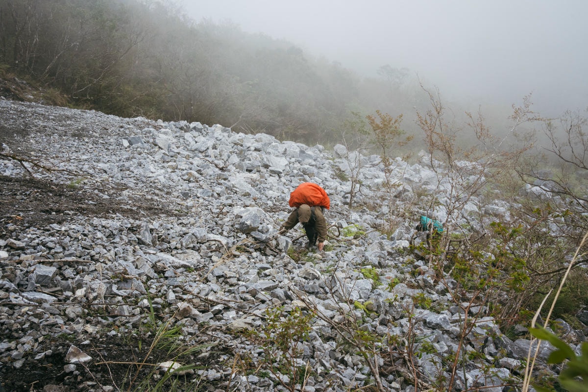 嵐山工作站|搭上迷霧中的時光列車(附Gpx) - 第32張圖 2025 dsc3661嵐山工作站
