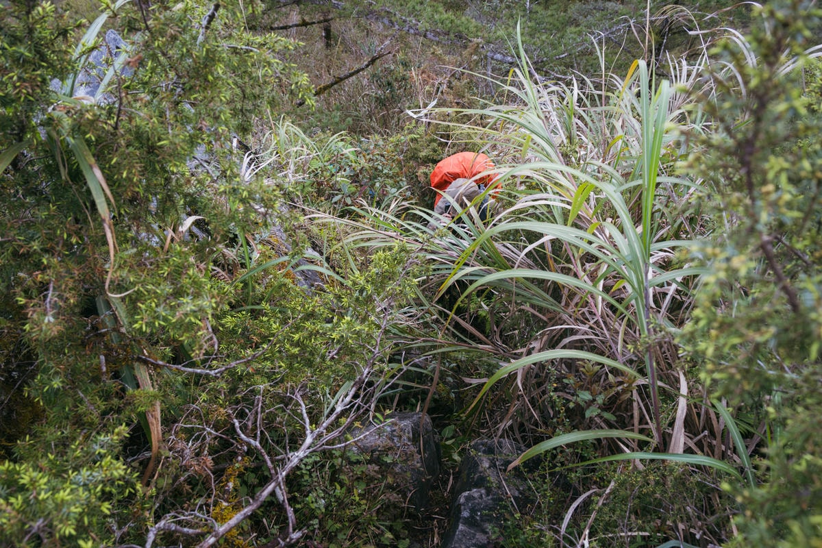 嵐山工作站|搭上迷霧中的時光列車(附Gpx) - 第33張圖 2025 dsc3668嵐山工作站