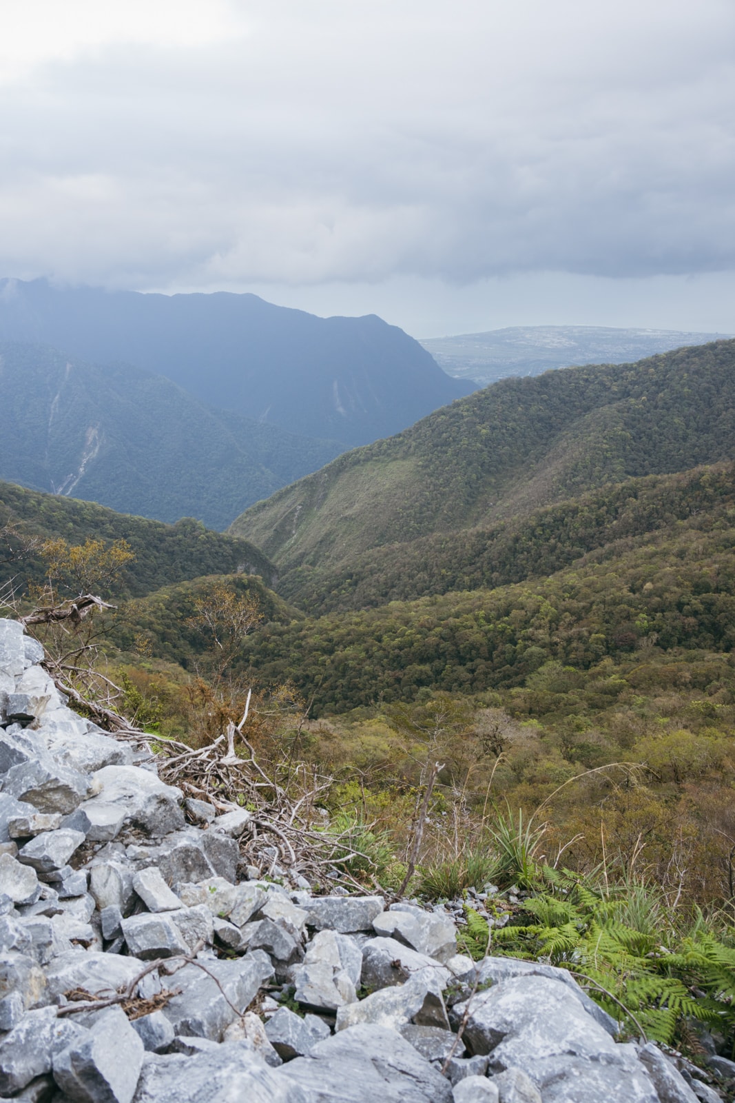 嵐山工作站|搭上迷霧中的時光列車(附Gpx) - 第34張圖 2025 dsc3674嵐山工作站