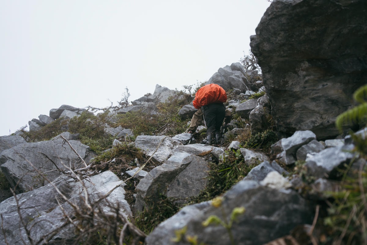 嵐山工作站|搭上迷霧中的時光列車(附Gpx) - 第36張圖 2025 dsc3679嵐山工作站