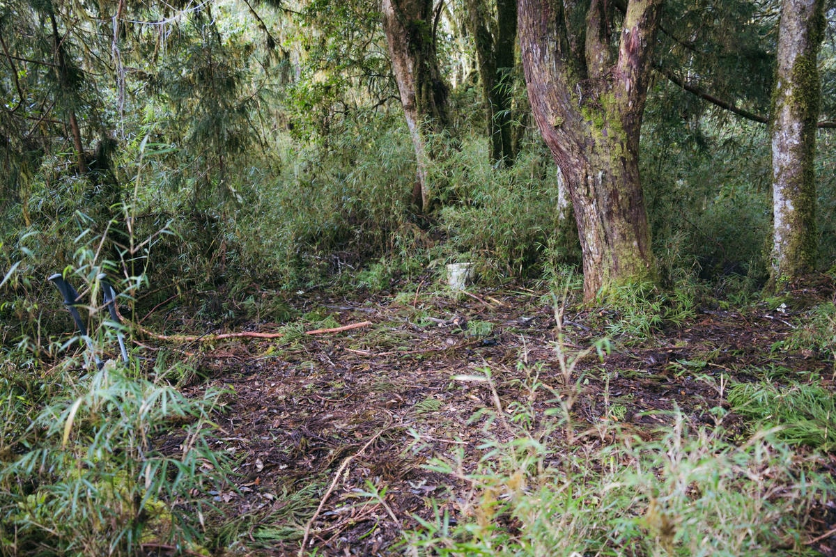 嵐山工作站|搭上迷霧中的時光列車(附Gpx) - 第38張圖 2025 dsc3682嵐山工作站