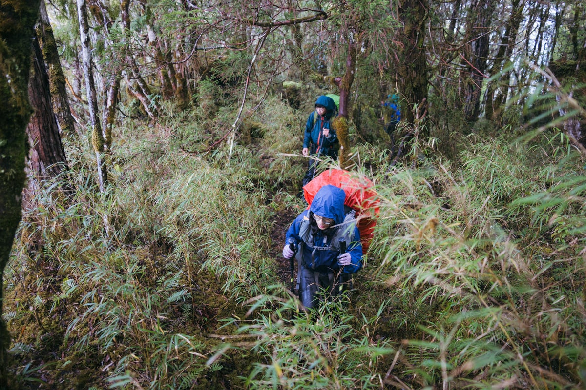 嵐山工作站|搭上迷霧中的時光列車(附Gpx) - 第39張圖 2025 dsc3684嵐山工作站