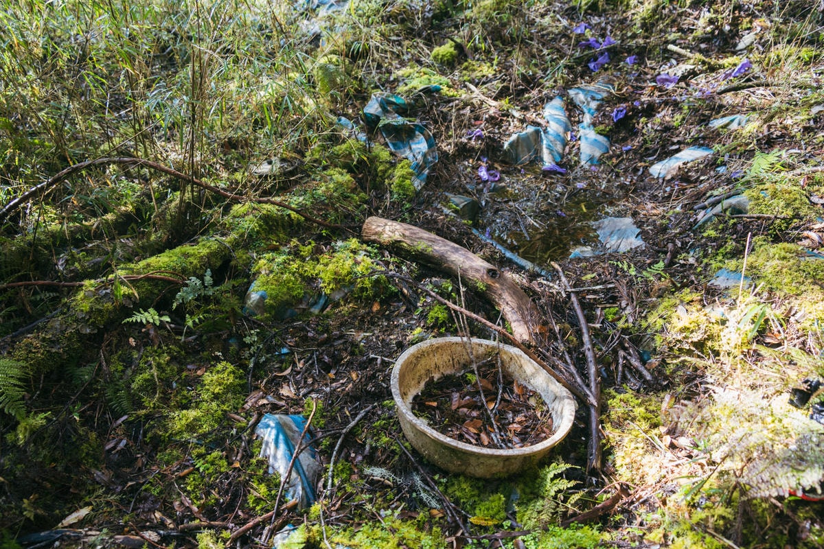 嵐山工作站|搭上迷霧中的時光列車(附Gpx) - 第40張圖 2025 dsc3692嵐山工作站