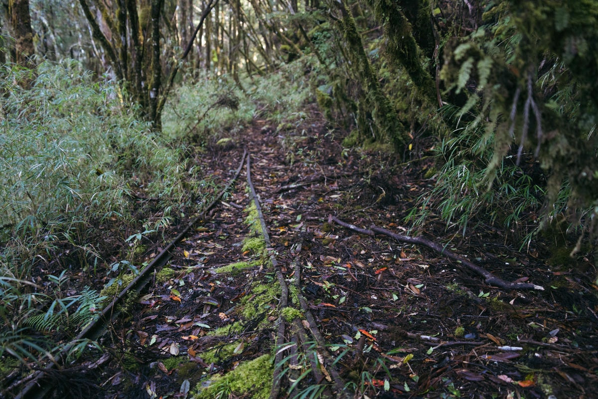 嵐山工作站|搭上迷霧中的時光列車(附Gpx) - 第41張圖 2025 dsc3699嵐山工作站