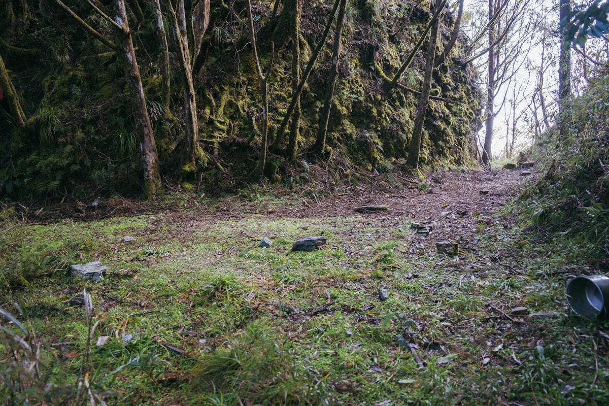 嵐山工作站|搭上迷霧中的時光列車(附Gpx) - 第46張圖 2025 dsc3710嵐山工作站