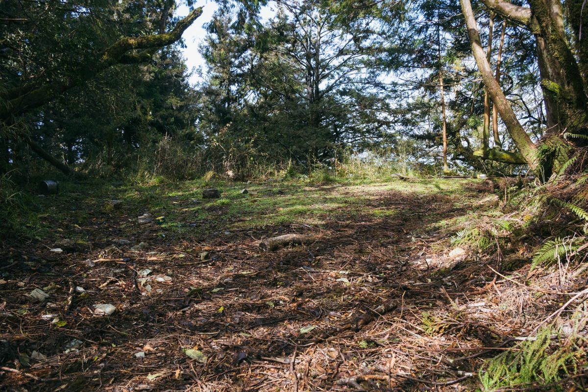 嵐山工作站|搭上迷霧中的時光列車(附Gpx) - 第47張圖 2025 dsc3711嵐山工作站