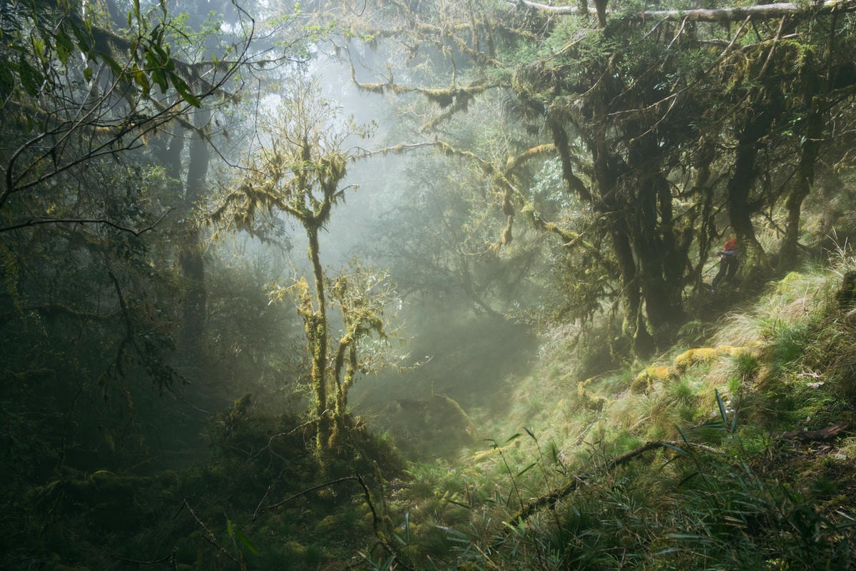 嵐山工作站|搭上迷霧中的時光列車(附Gpx) - 第48張圖 2025 dsc3715嵐山工作站