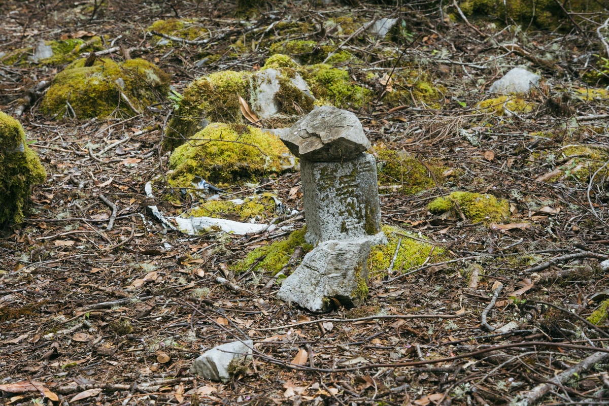 嵐山工作站|搭上迷霧中的時光列車(附Gpx) - 第50張圖 2025 dsc3727嵐山工作站