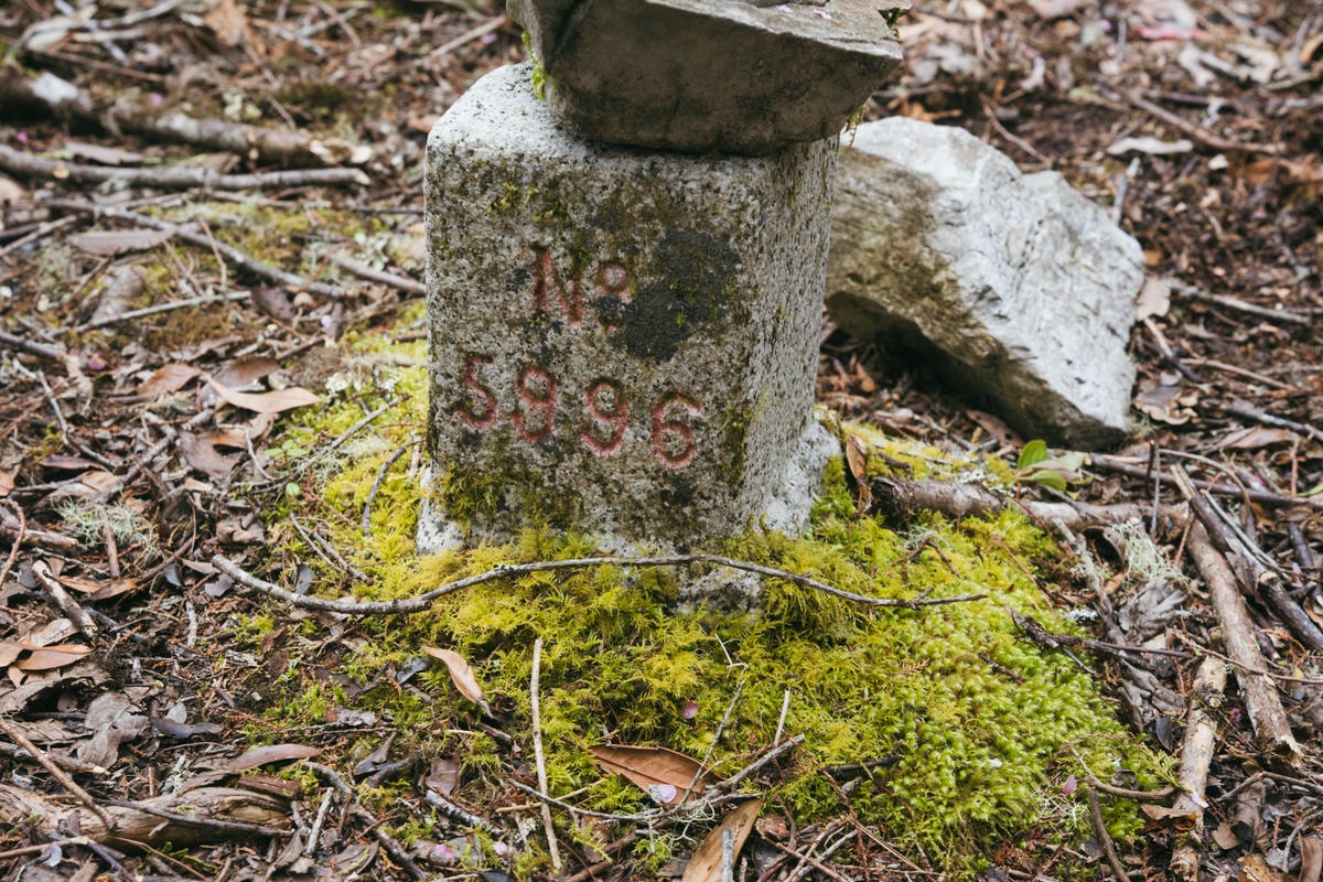 嵐山工作站|搭上迷霧中的時光列車(附Gpx) - 第51張圖 2025 dsc3729嵐山工作站