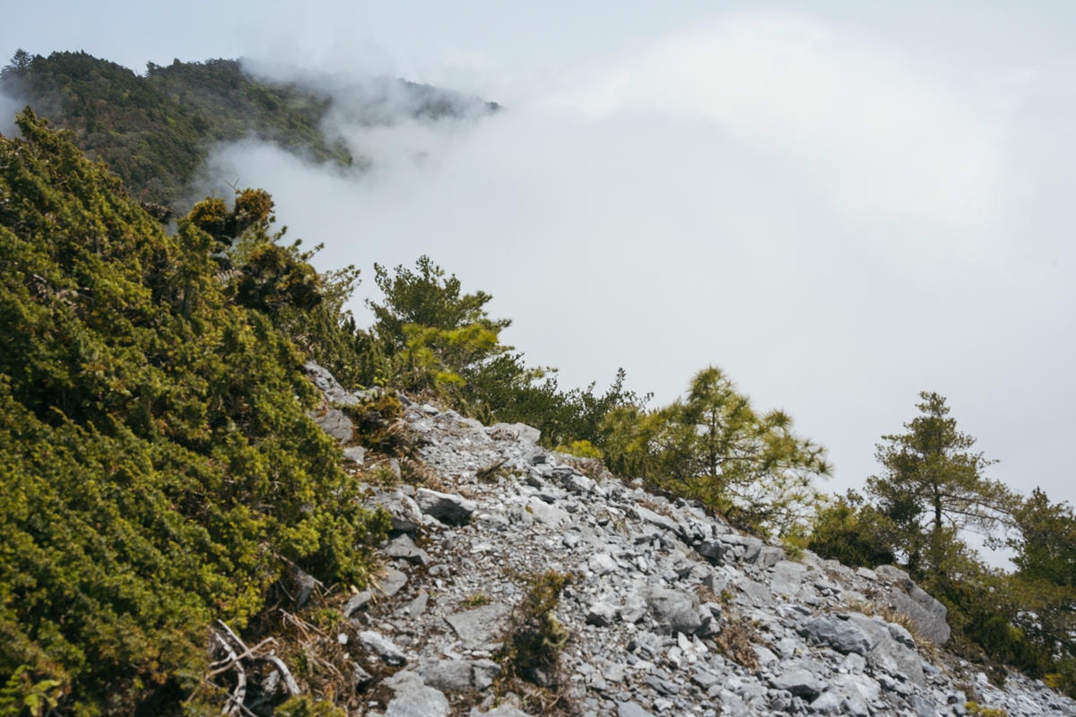 嵐山工作站|搭上迷霧中的時光列車(附Gpx) - 第55張圖 2025 dsc3743嵐山工作站