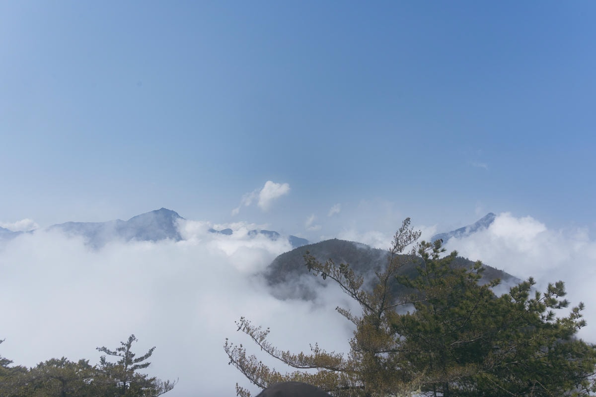 嵐山工作站|搭上迷霧中的時光列車(附Gpx) - 第56張圖 2025 dsc3745嵐山工作站