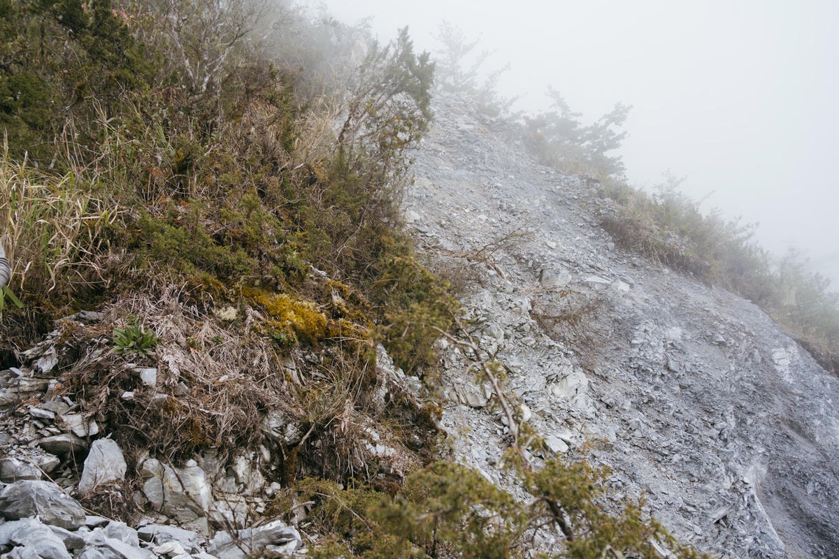 嵐山工作站|搭上迷霧中的時光列車(附Gpx) - 第57張圖 2025 dsc3750嵐山工作站