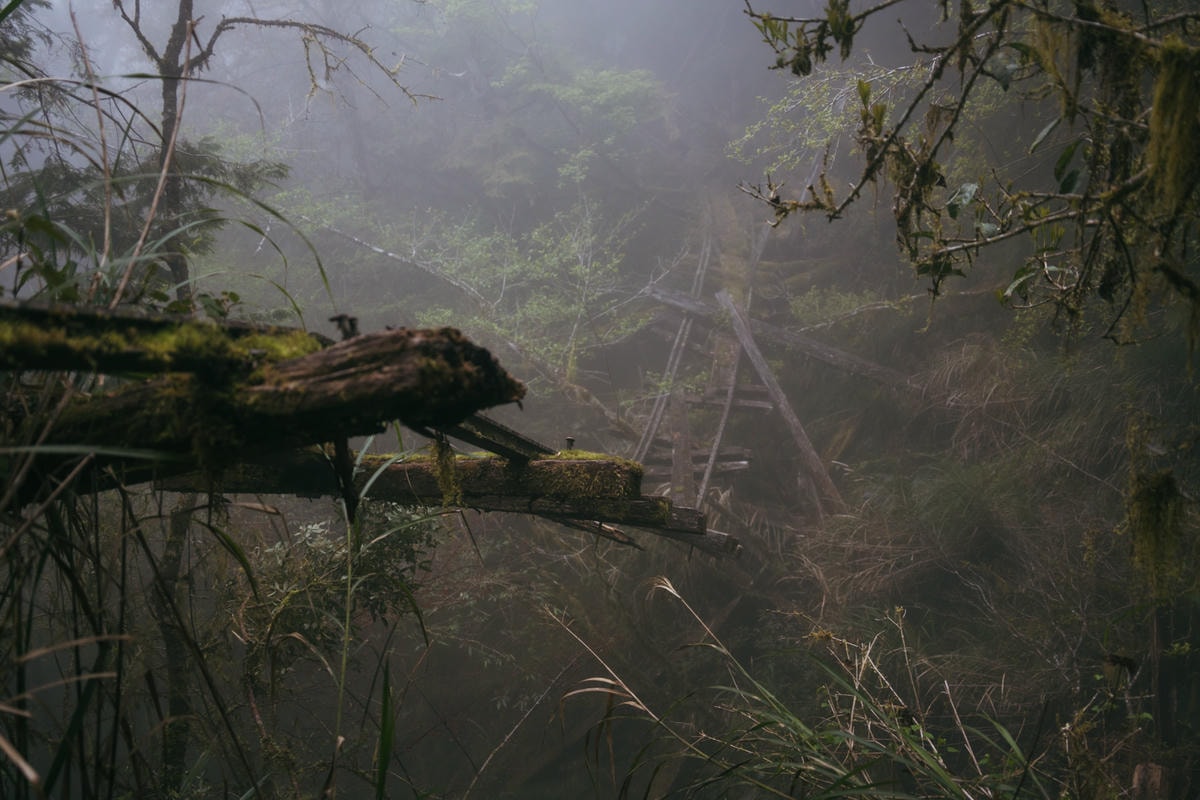 嵐山工作站|搭上迷霧中的時光列車(附Gpx) - 第61張圖 2025 dsc3752嵐山工作站