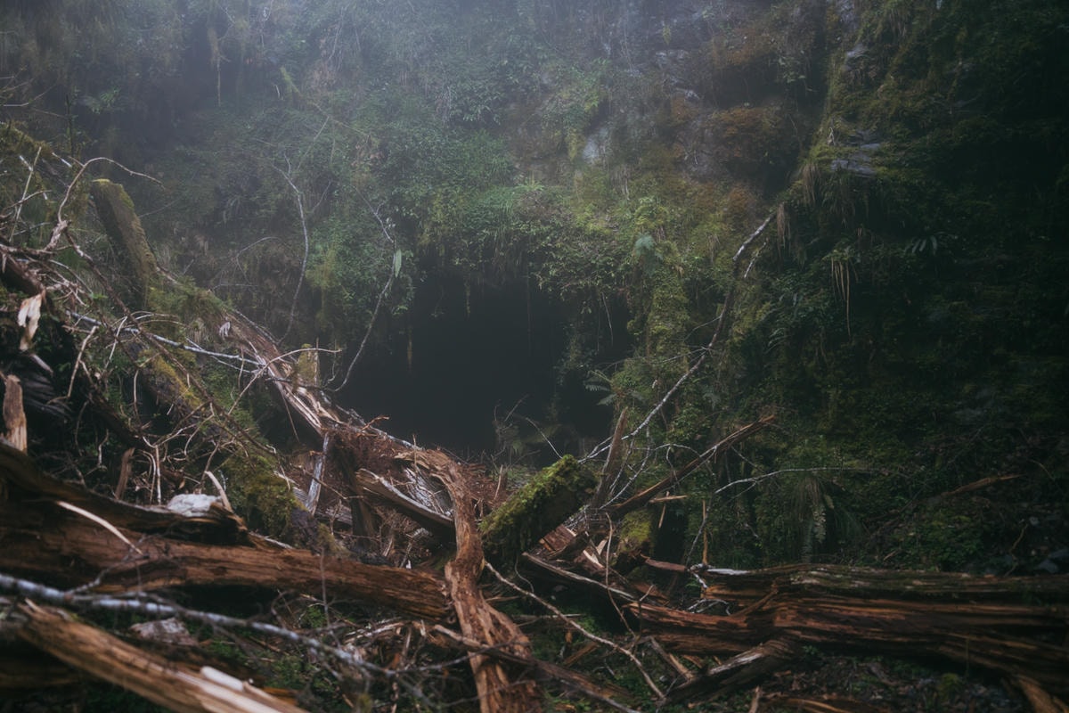 嵐山工作站|搭上迷霧中的時光列車(附Gpx) - 第59張圖 2025 dsc3753嵐山工作站