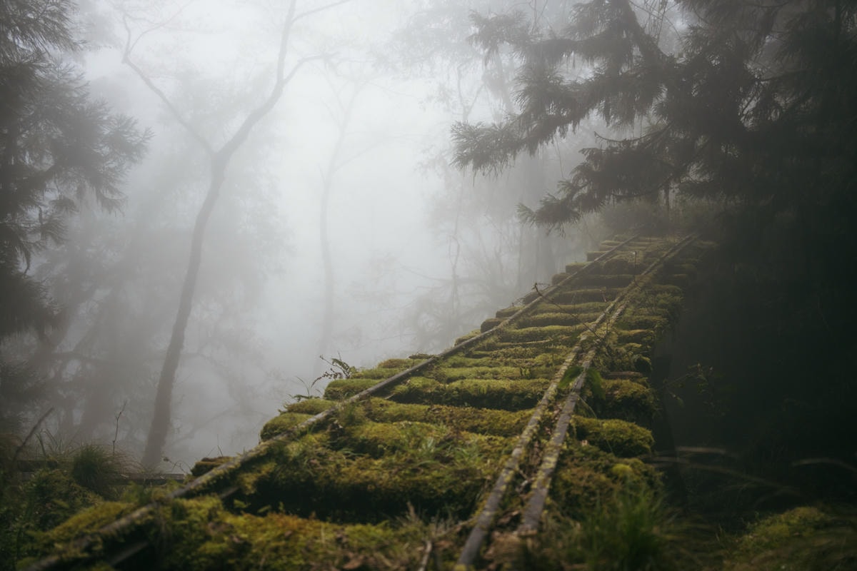 嵐山工作站|搭上迷霧中的時光列車(附Gpx) - 第58張圖 2025 dsc3754嵐山工作站