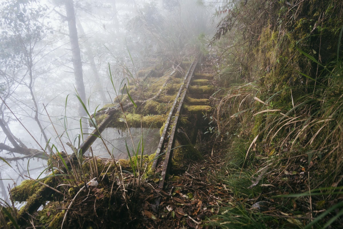 嵐山工作站|搭上迷霧中的時光列車(附Gpx) - 第62張圖 2025 dsc3774嵐山工作站
