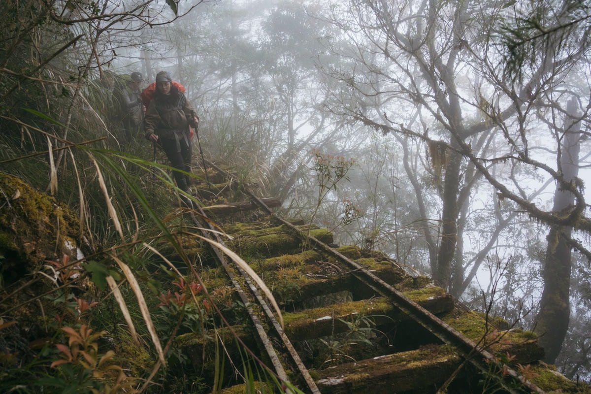 嵐山工作站|搭上迷霧中的時光列車(附Gpx) - 第63張圖 2025 dsc3776嵐山工作站