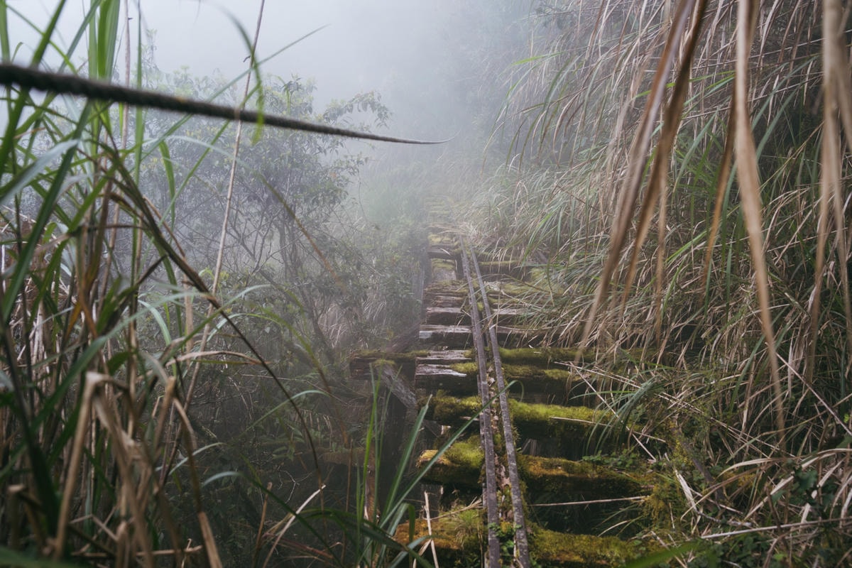 嵐山工作站|搭上迷霧中的時光列車(附Gpx) - 第65張圖 2025 dsc3779嵐山工作站