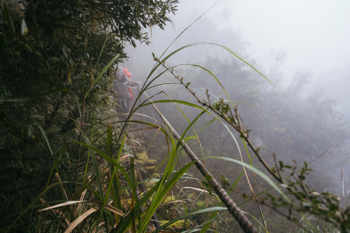 嵐山工作站|搭上迷霧中的時光列車(附Gpx) - 第67張圖 2025 dsc3781嵐山工作站