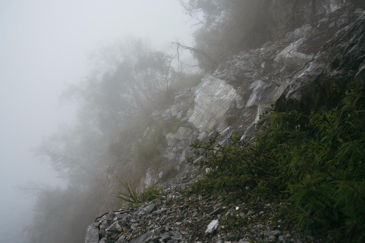 嵐山工作站|搭上迷霧中的時光列車(附Gpx) - 第69張圖 2025 dsc3787嵐山工作站