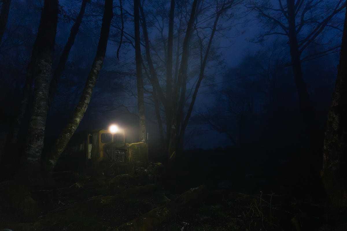 2025 dsc3837 已增強 雜訊減少嵐山工作站