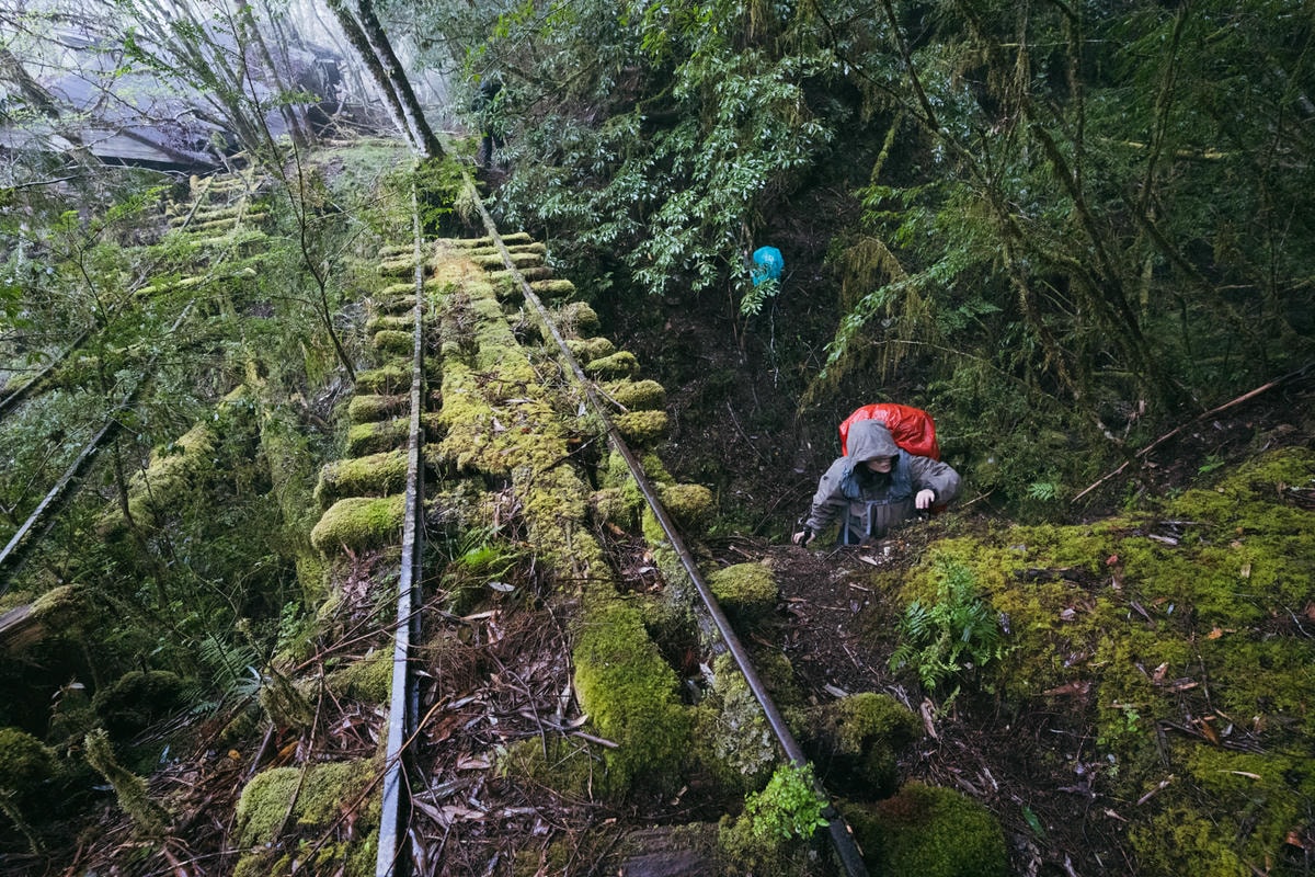 嵐山工作站|搭上迷霧中的時光列車(附Gpx) - 第71張圖 2025 dsc3911嵐山工作站
